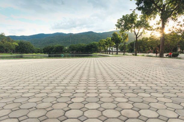 Best Driveway Pavers Near Me  in Pquemine, LA